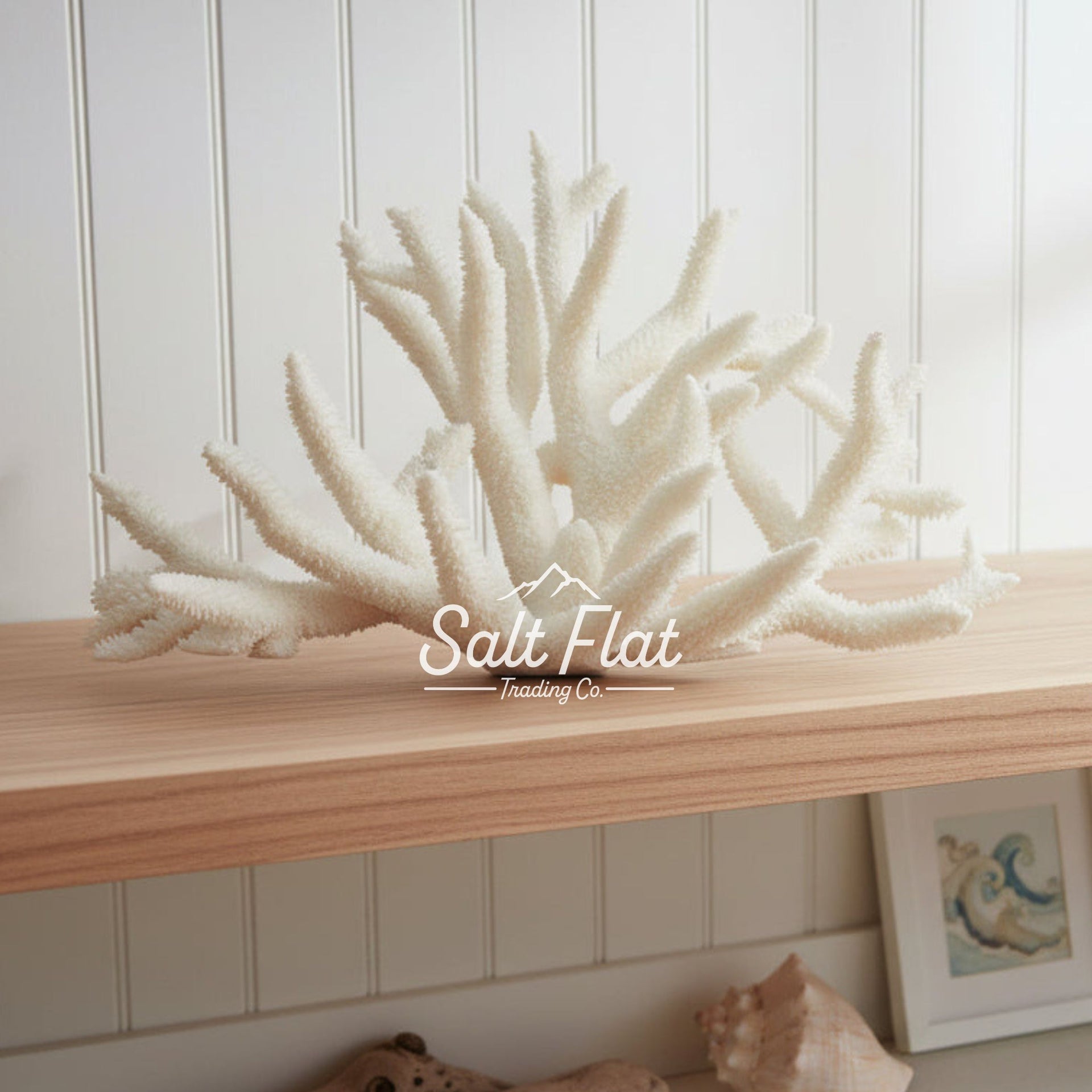 Staghorn Coral 12-14"