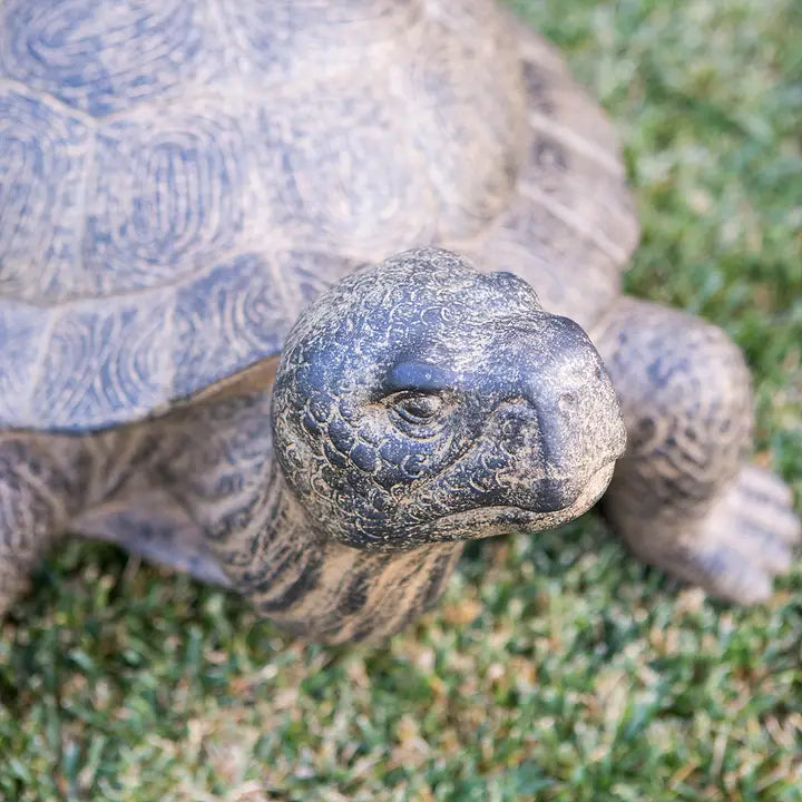 Garden Turtles