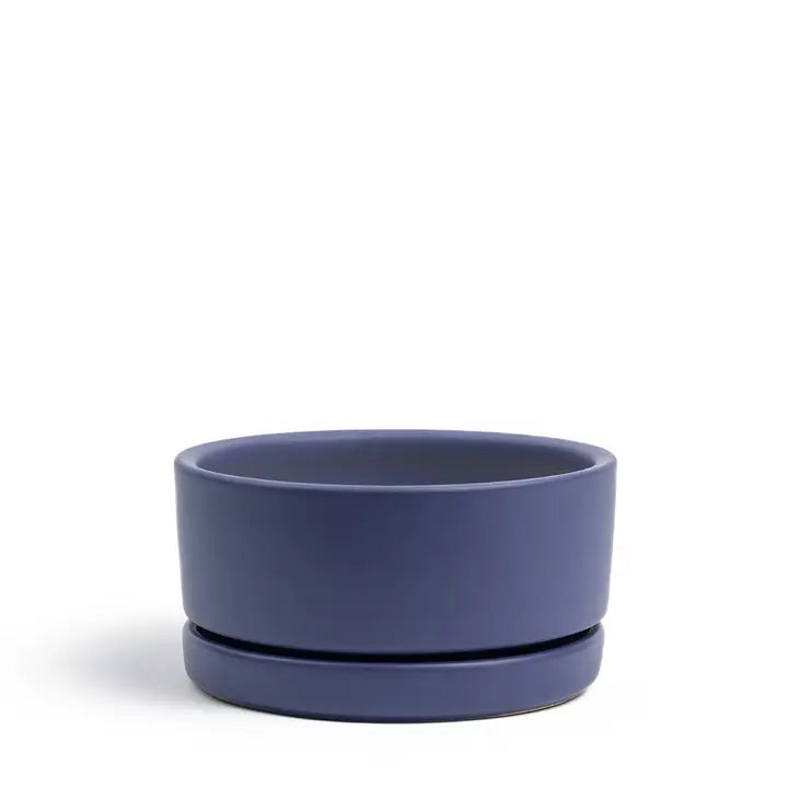 8.5" Low-Bowls with Water Saucers