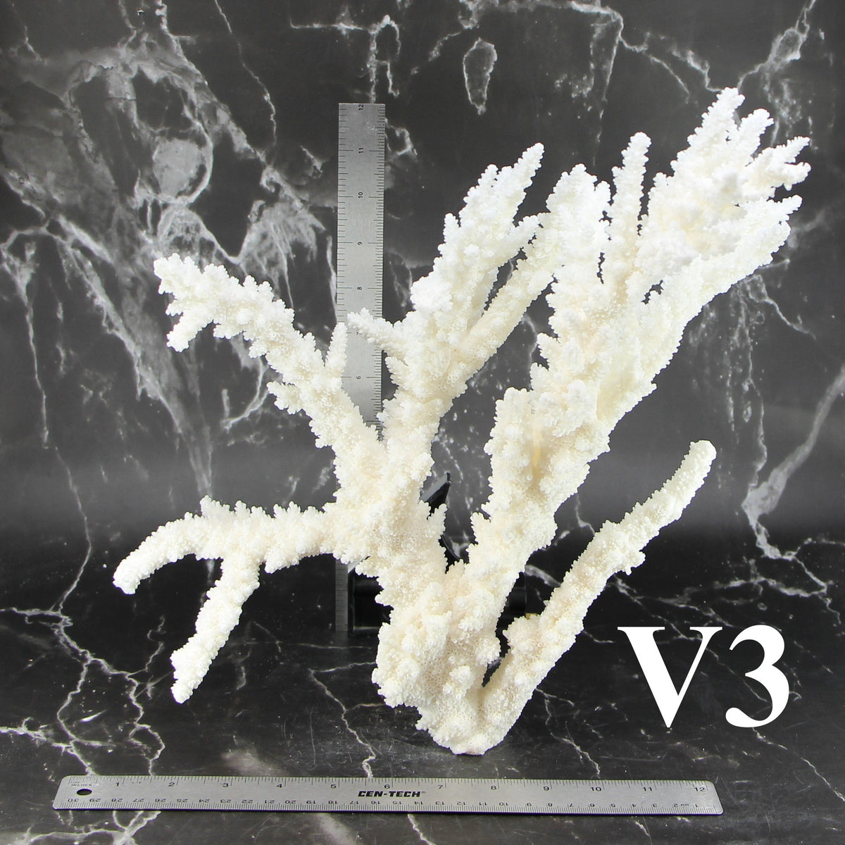 Branch Coral 14-16"