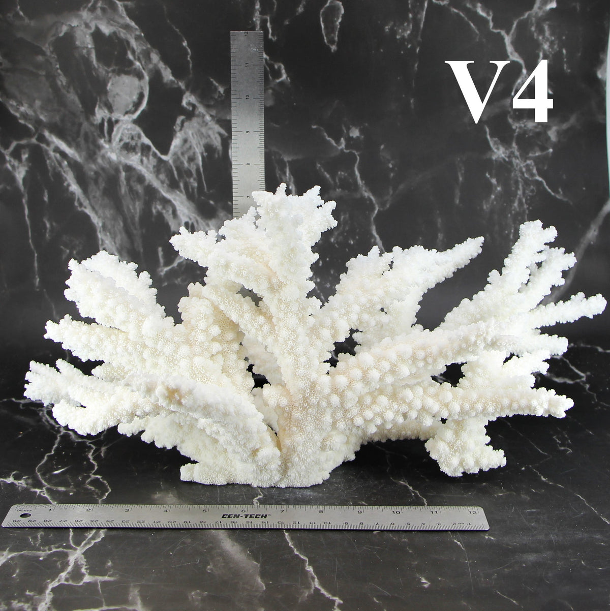 Branch Coral 14-16"