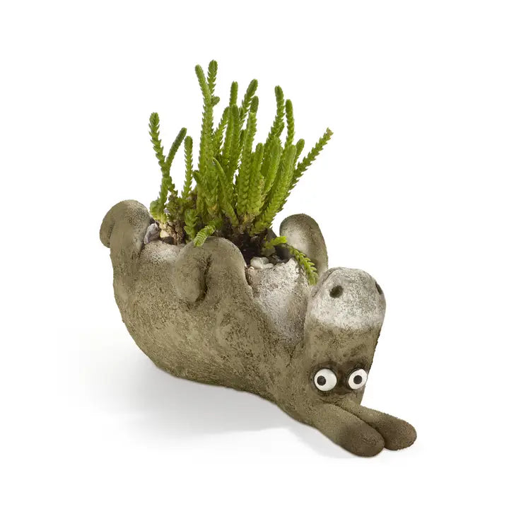 Animal Planters
