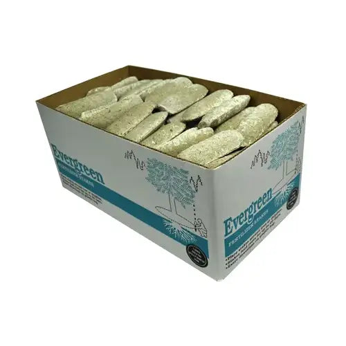 JOBES Evergreen Fertilizer Stake (1 Spike) 11-3-4 N-P-K Ratio