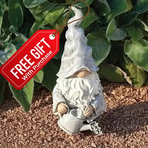Gnome with Watering