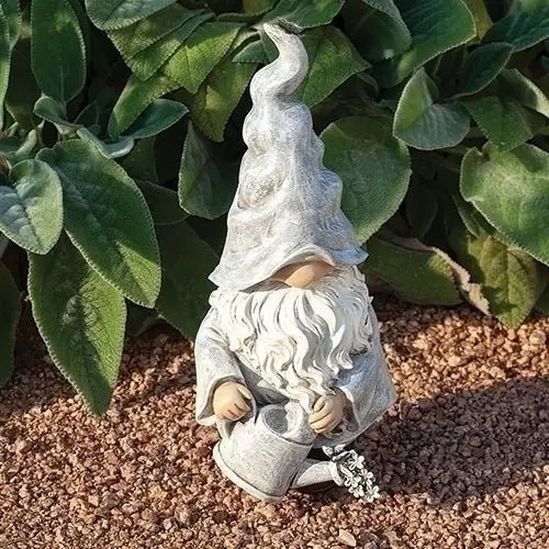 Gnome with Watering