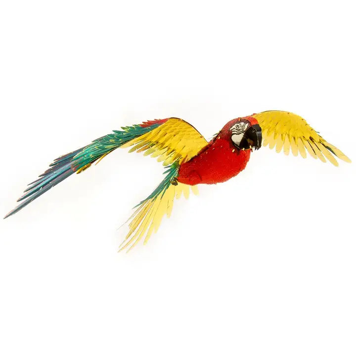 Parrot - Color