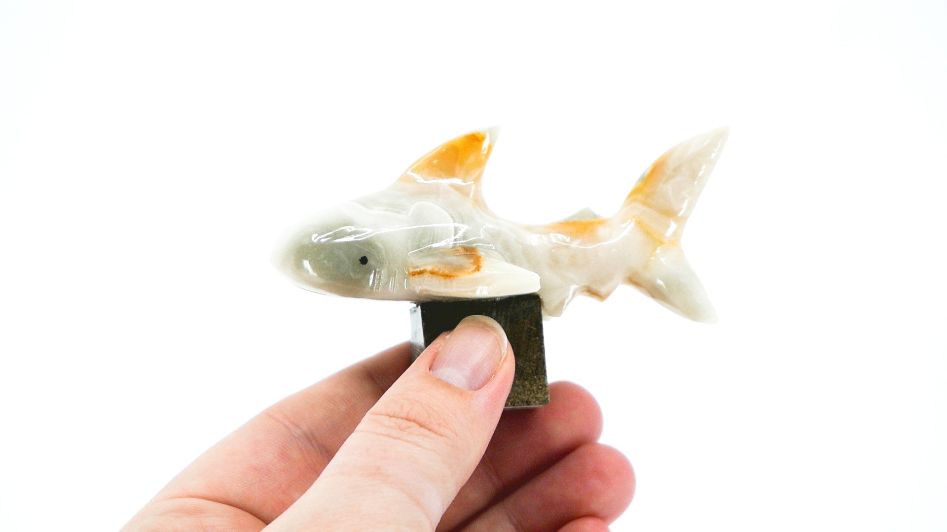 2'' Marble Shark With Stand