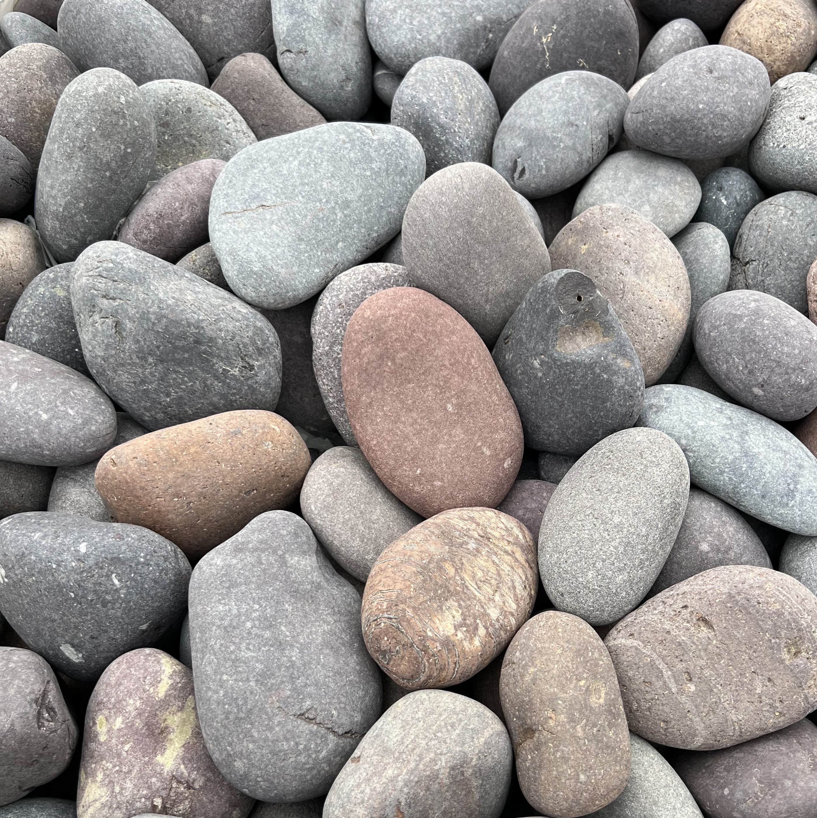 Mixed Mexican Beach Pebbles