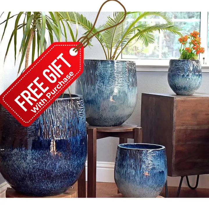 Trio De Kanto Ice Blue