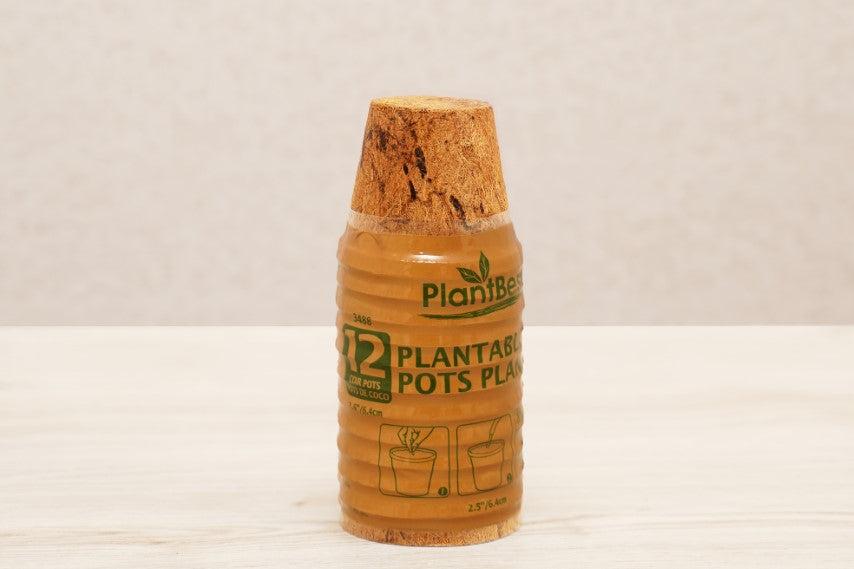 Macetas biodegradables de fibra de coco: 2,5", 3,25" y 4,5" 
