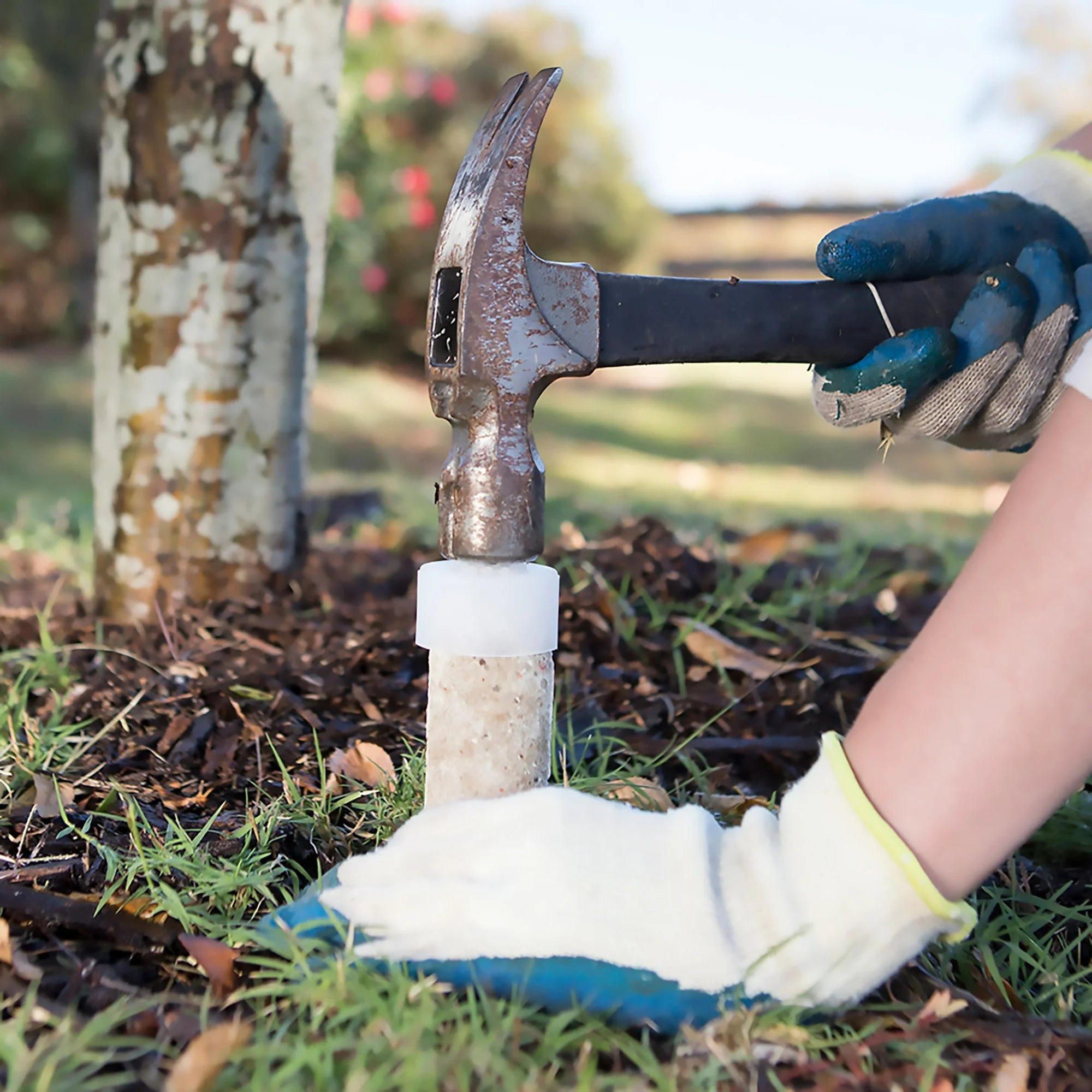 JOBES Fruit & Ornamental Fertilizer Stake (1 Spike) 8-11-11 N-P-K Ratio