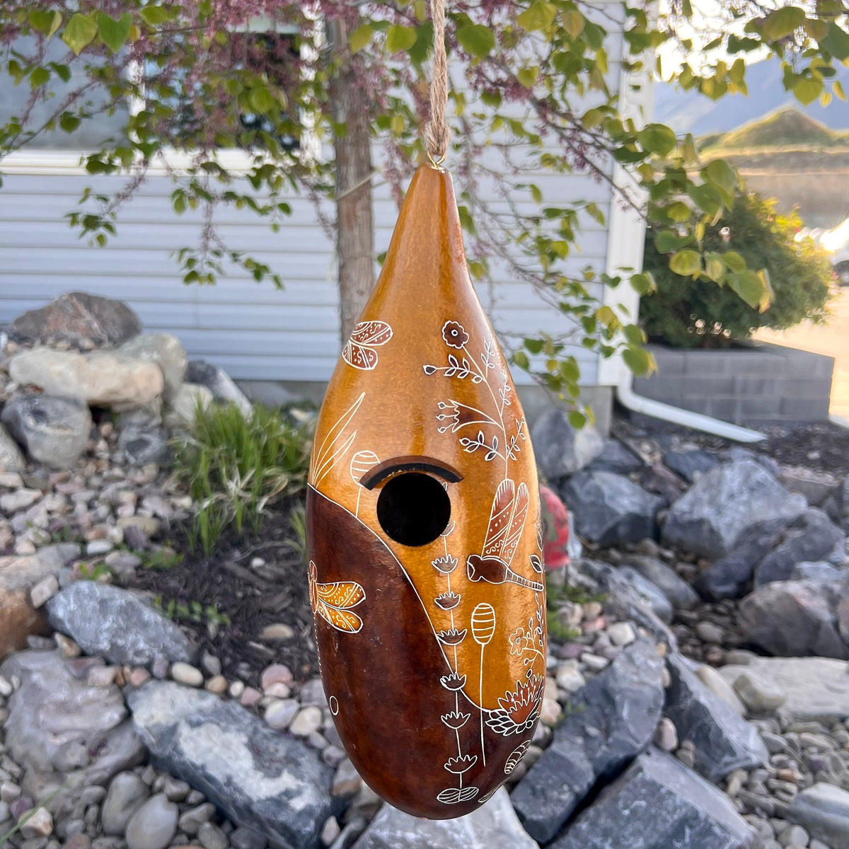 Casas para pájaros de calabaza
