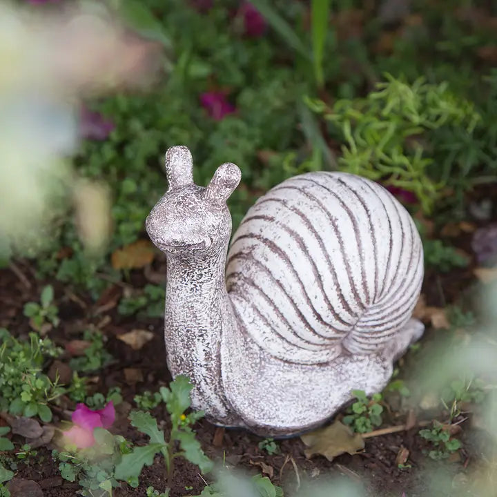 Garden Snails
