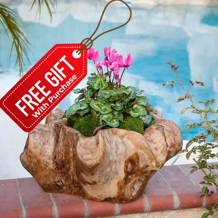 Teak Erosion Wood Bowls