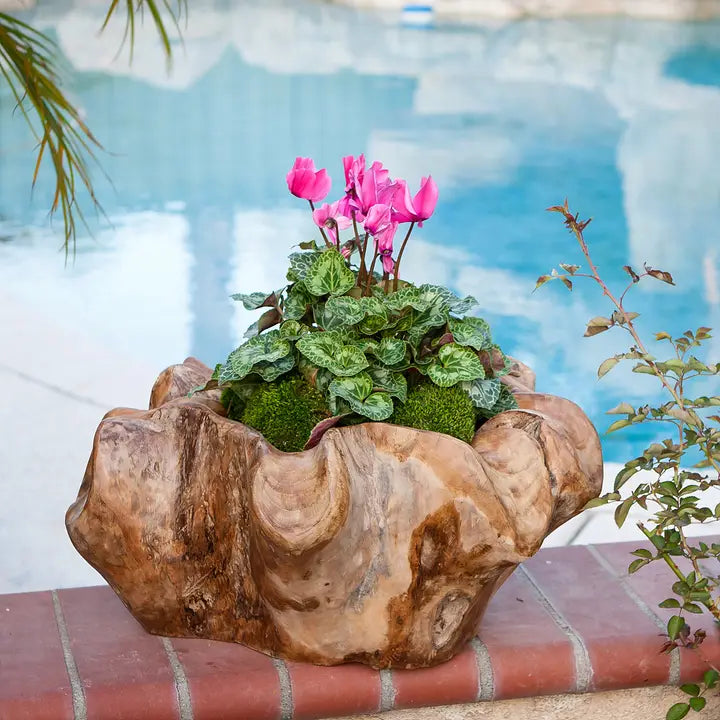 Teak Erosion Wood Bowls