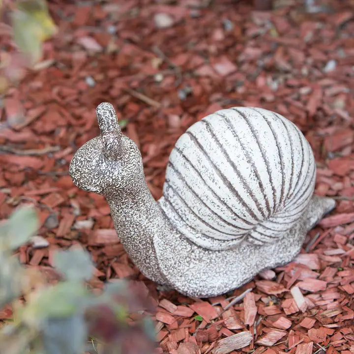 Garden Snails