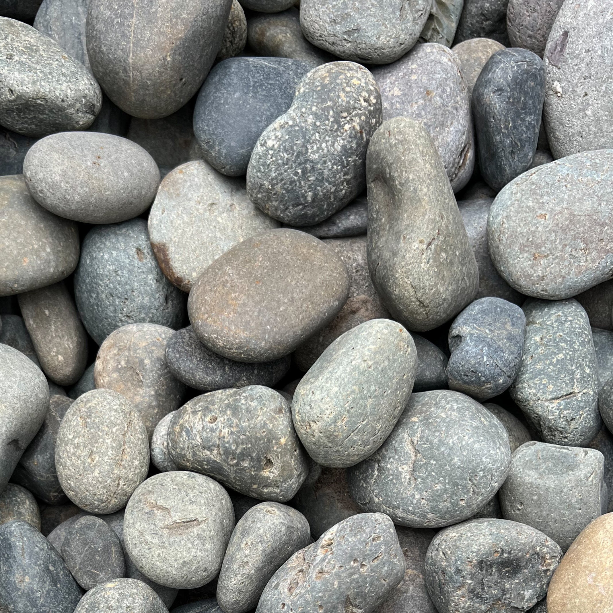 Black Mexican Beach Pebbles