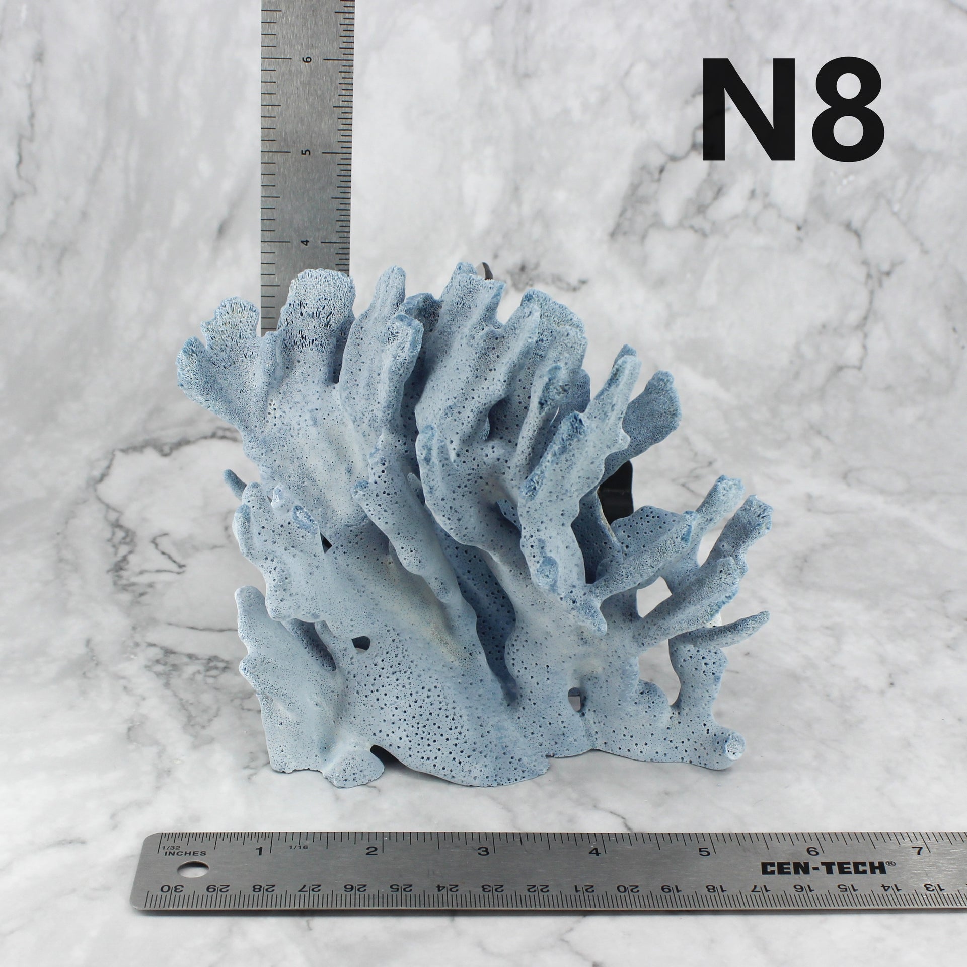 Blue Coral 5-7"