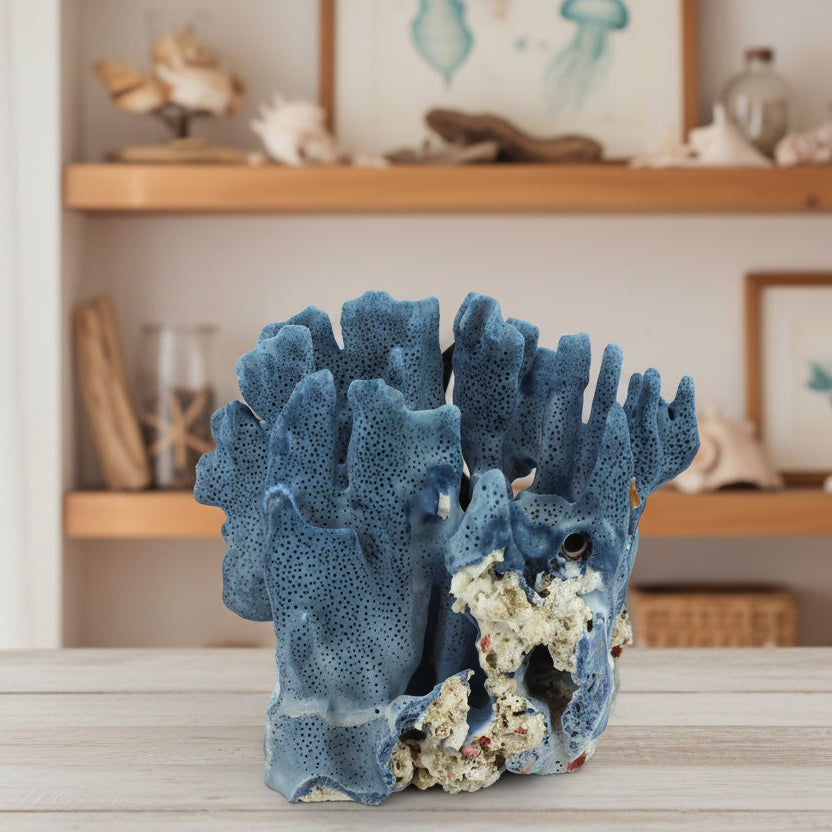 Coral azul de 5 a 7 pulgadas