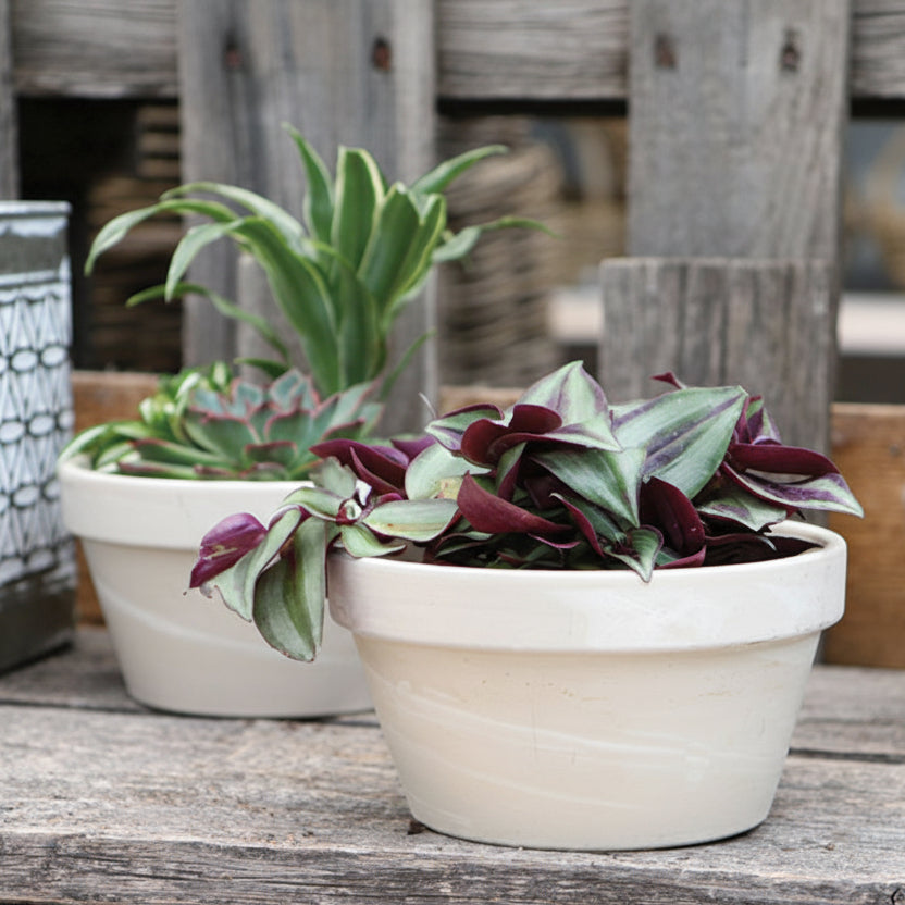 Bandeja para semillas | Granito