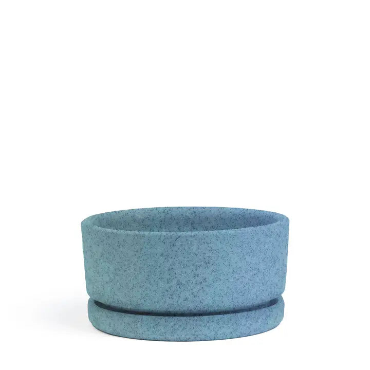 8.5" Low-Bowls with Water Saucers