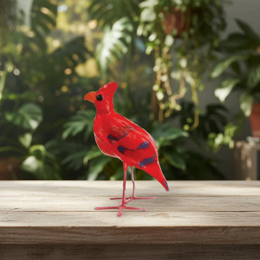 Aves de vainas de semillas