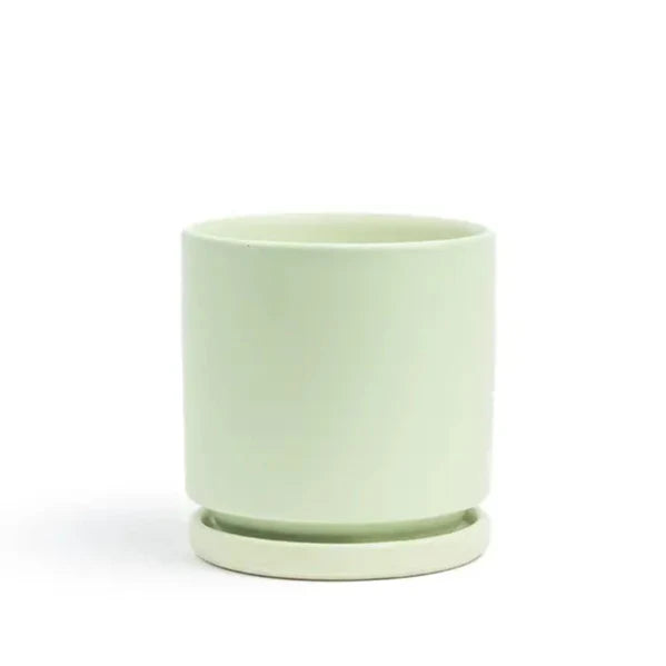 8.25" Cylinder Pots with Water Saucers