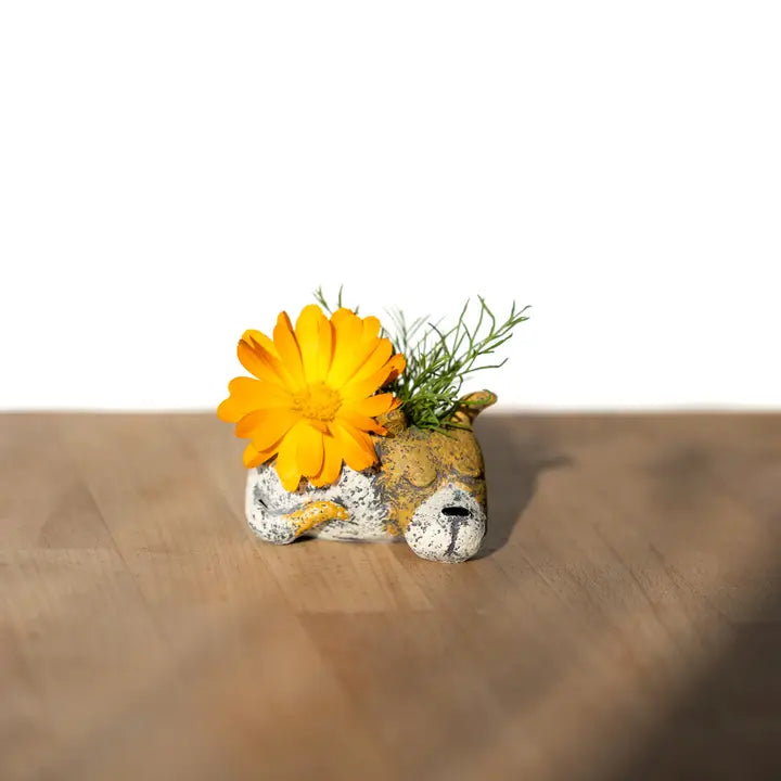 Animal Planters
