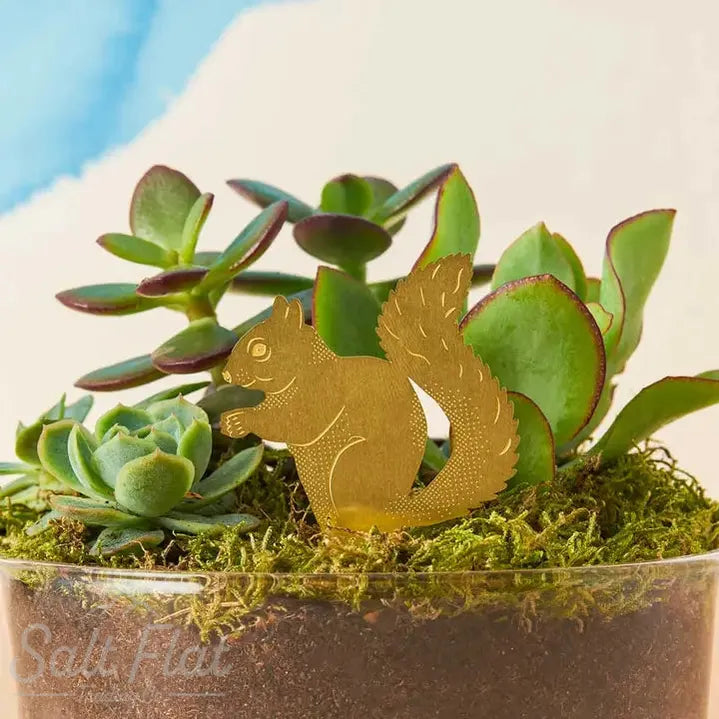 Plant Animals