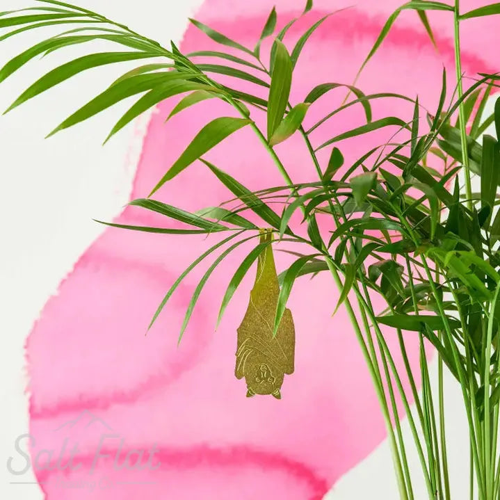 Plant Animals