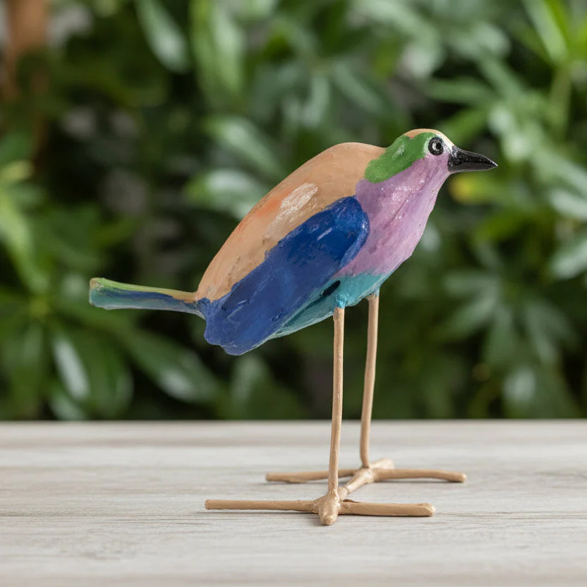 Aves de vainas de semillas
