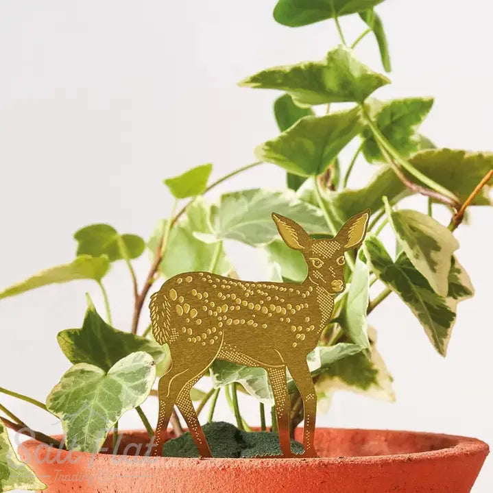 Plant Animals