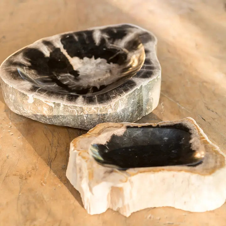 Petrified Wood Bowls 4-6"
