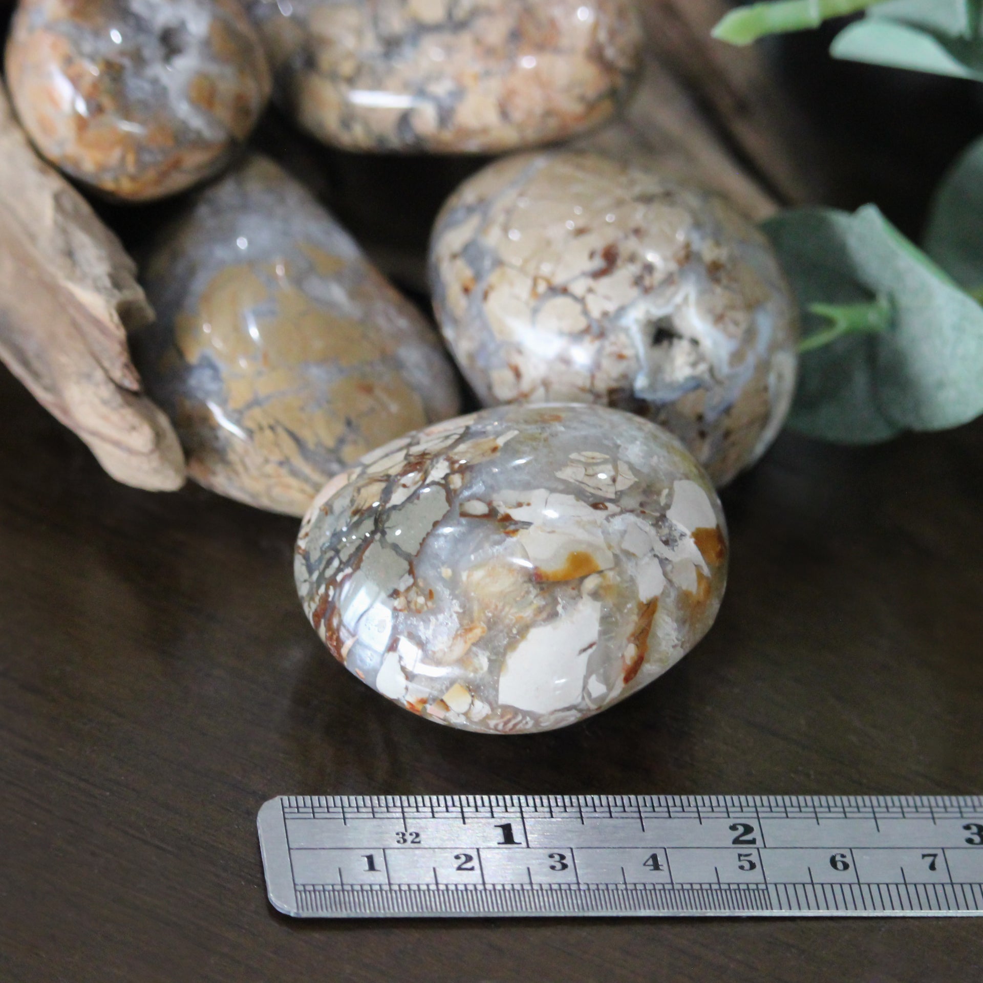 Ibis Jasper Palm Stone