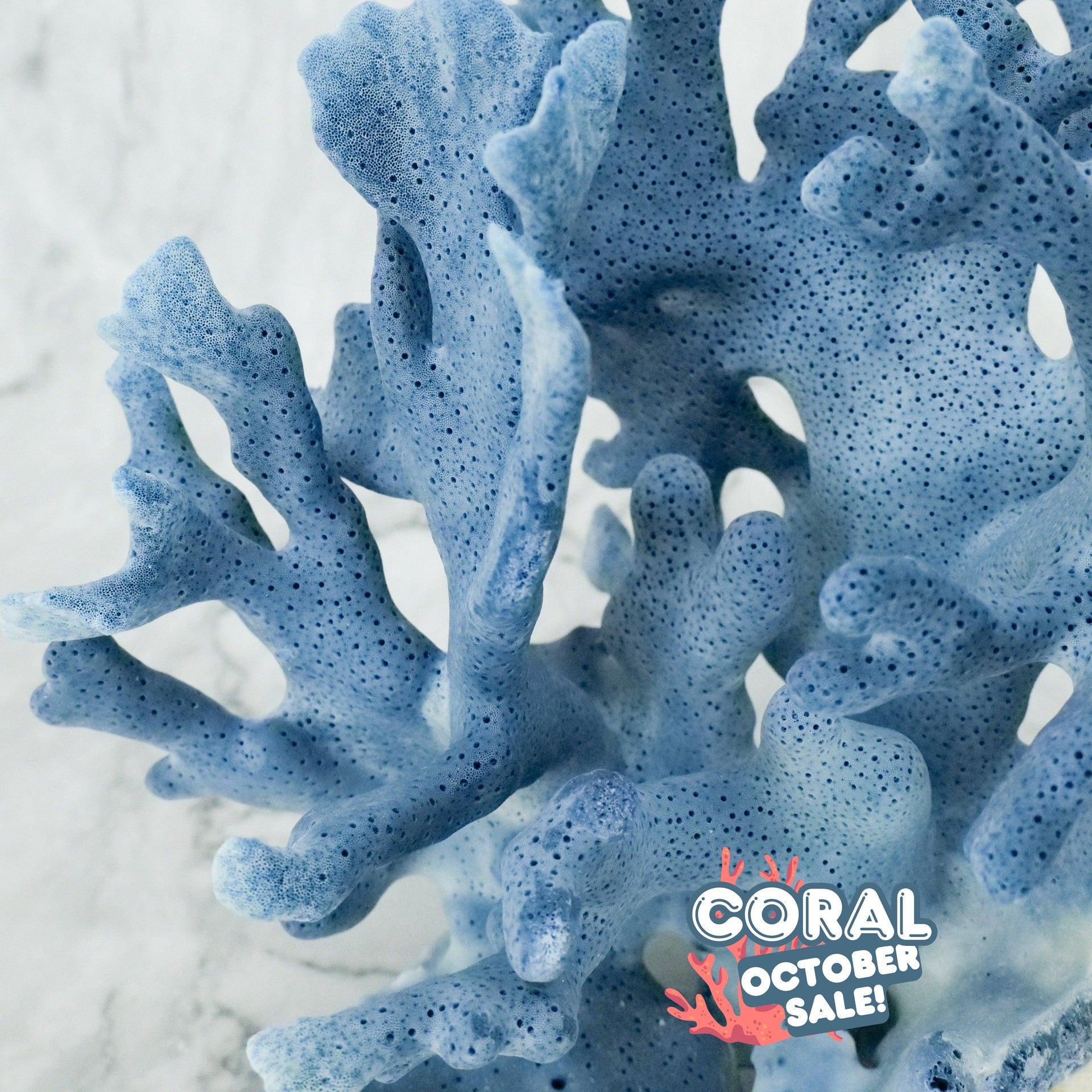 Blue Coral 12-14"