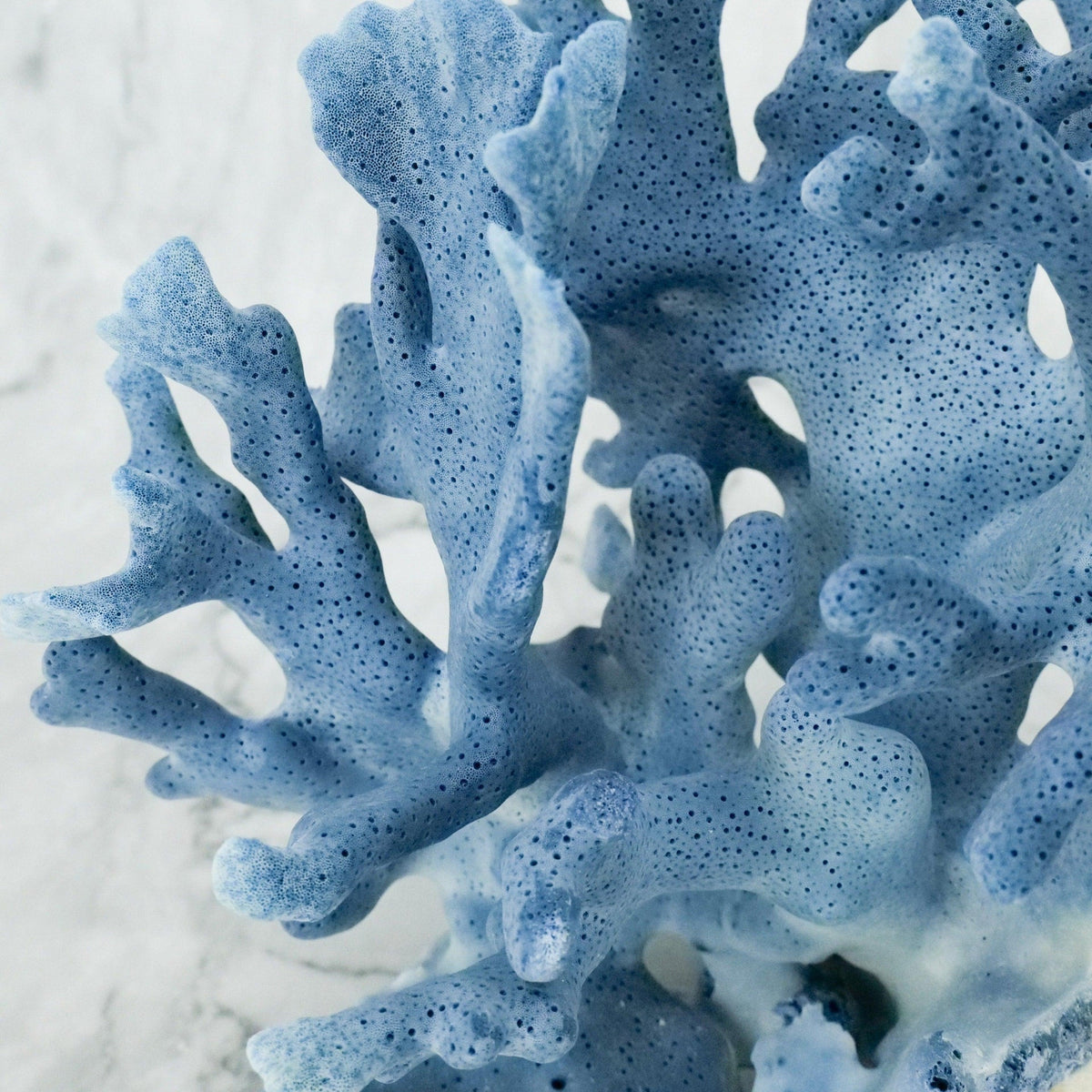 Blue Coral 12-14"