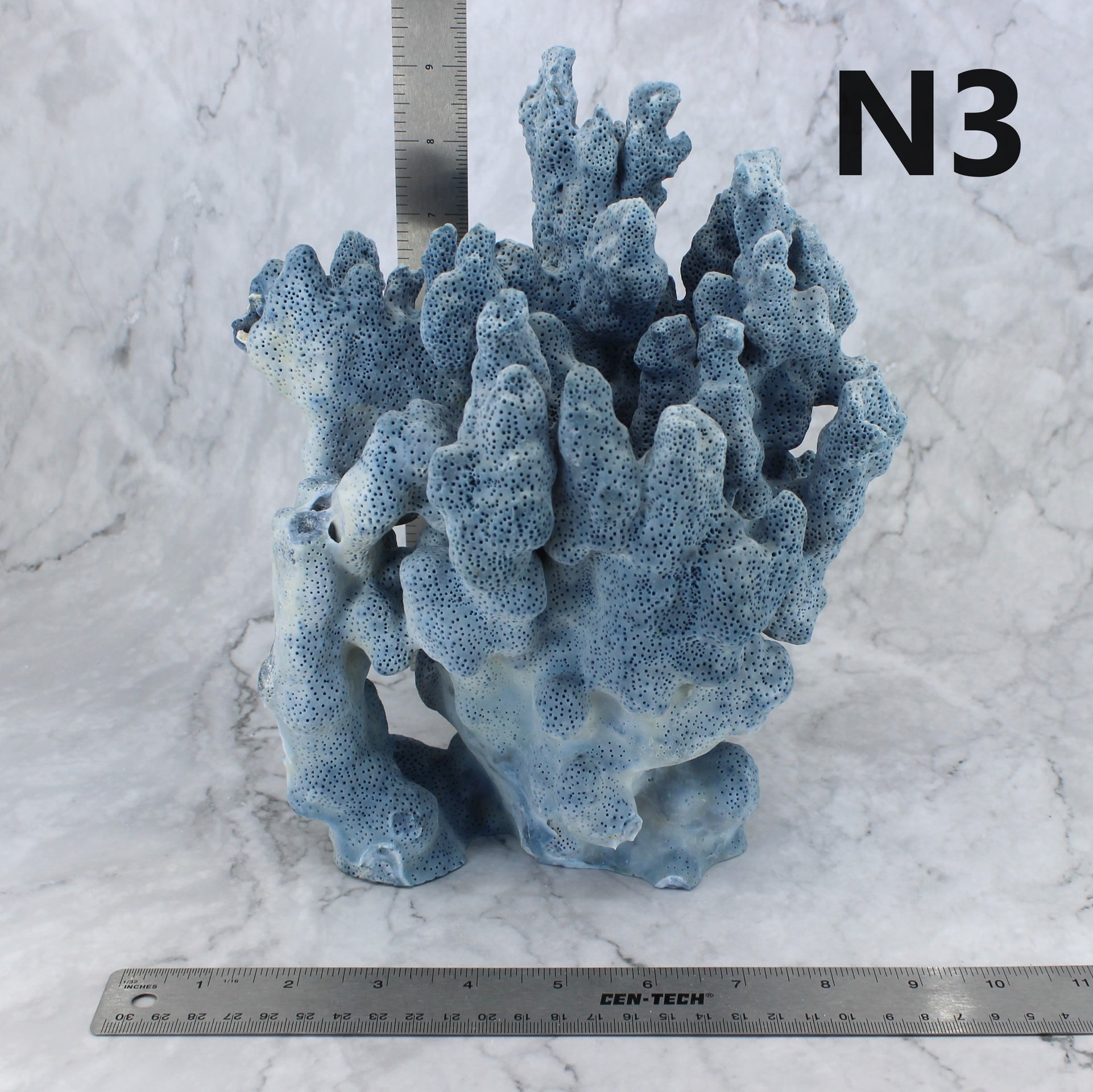 Coral azul de 7 a 10 pulgadas