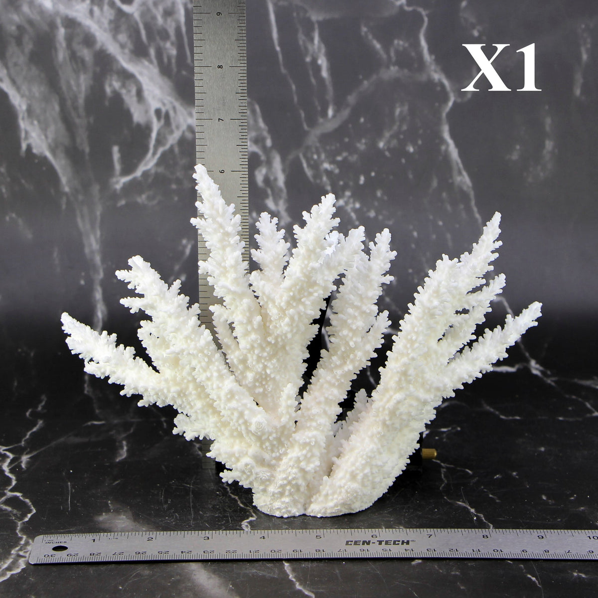 Branch Coral 7-10"