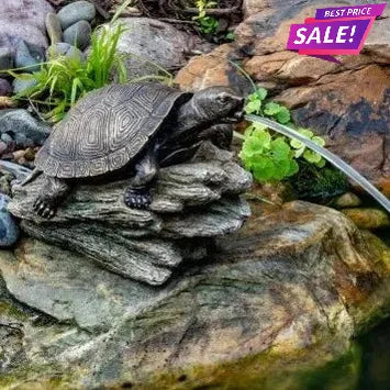 Turtle on Log Spitter