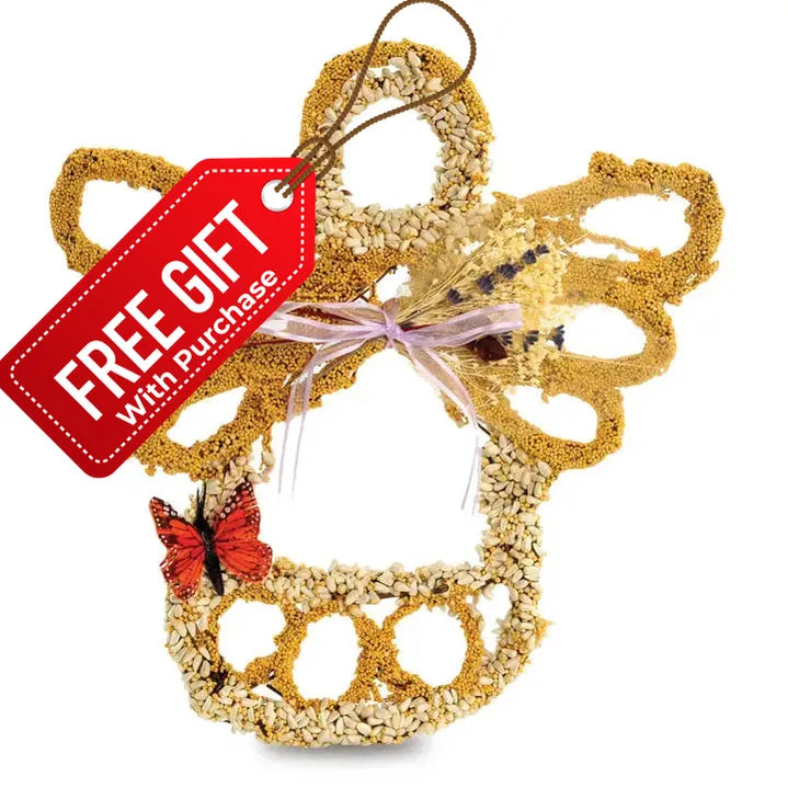 All Season Seed Angel