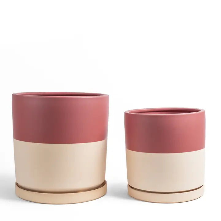 Cylinder Pots with Water Saucers