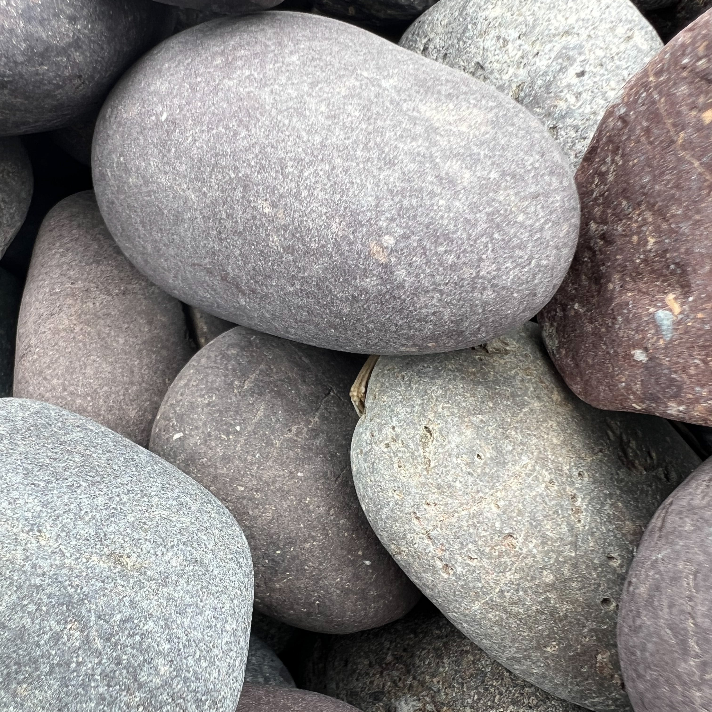 Mixed Mexican Beach Pebbles