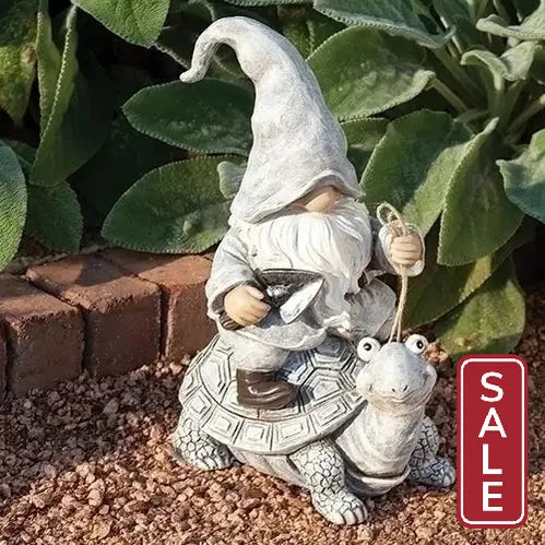 Gnome Riding Turtle