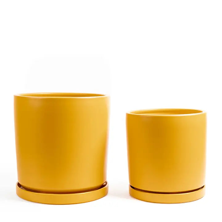 Cylinder Pots with Water Saucers