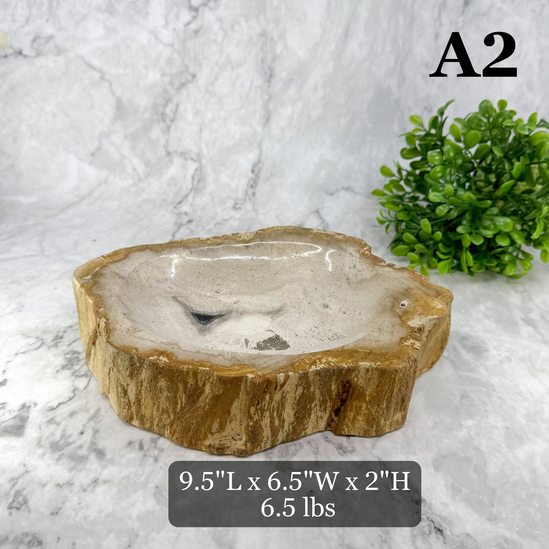 Garden Age Petrified Wood Bowls 9-10"