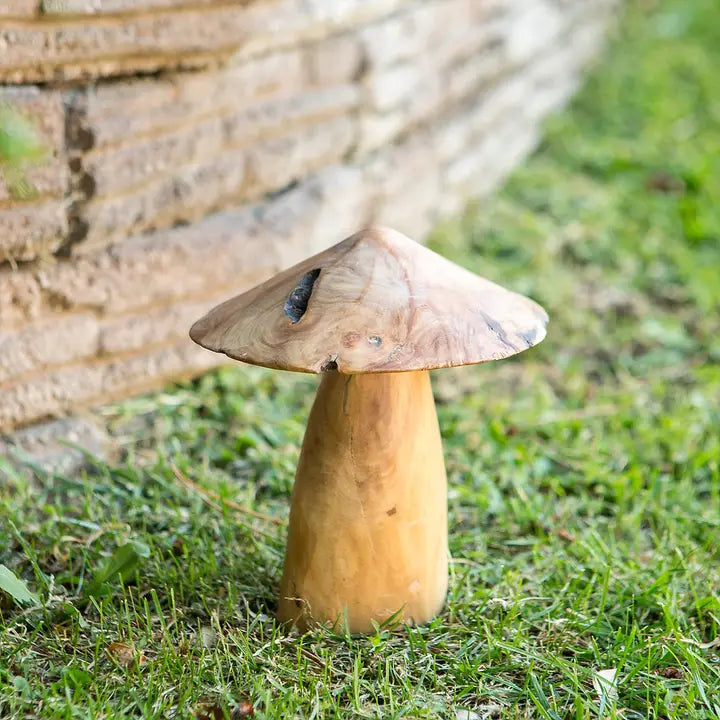Hongos de raíz del árbol del té