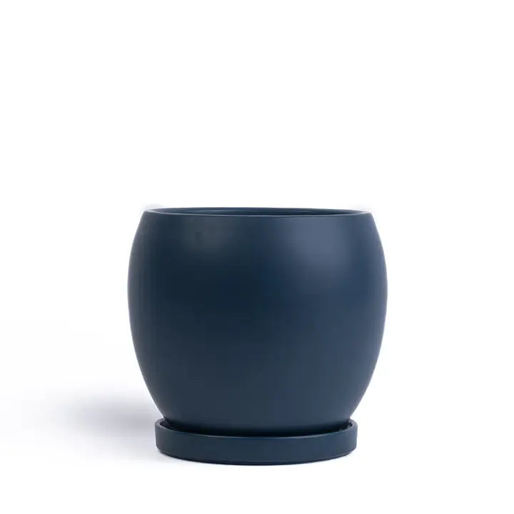 10" Bollé Pots with Water Saucers