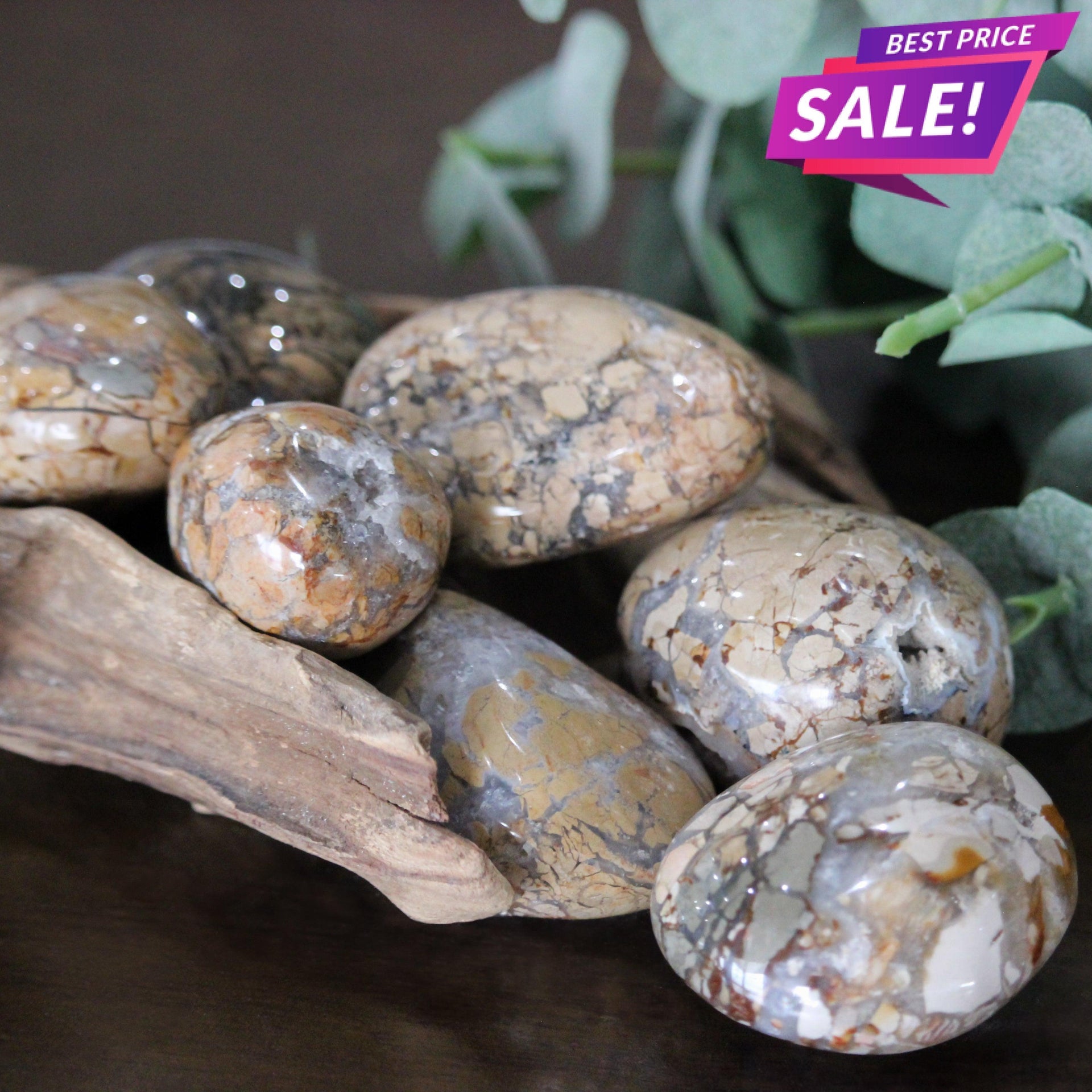 Ibis Jasper Palm Stone