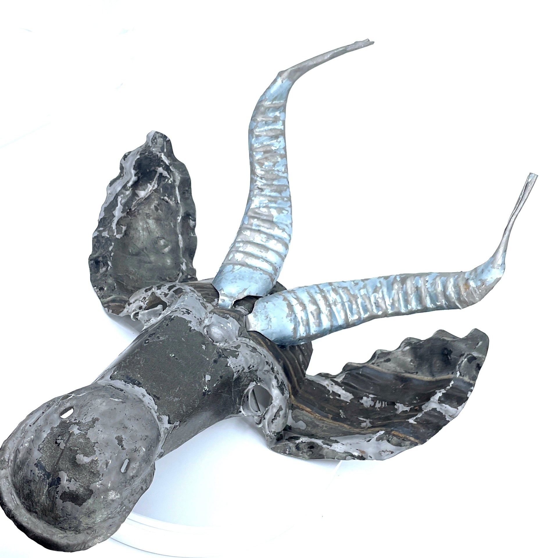 Springbok Animal Mask Wall Art