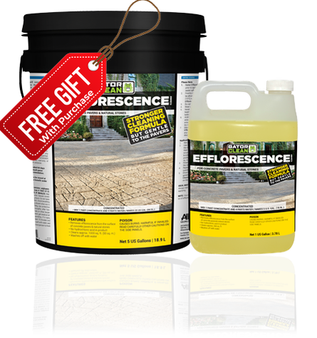 Gator Efflorescence Cleaner 1 Gal